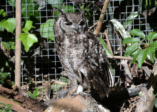 World of Birds Wildlife Sanctuary.